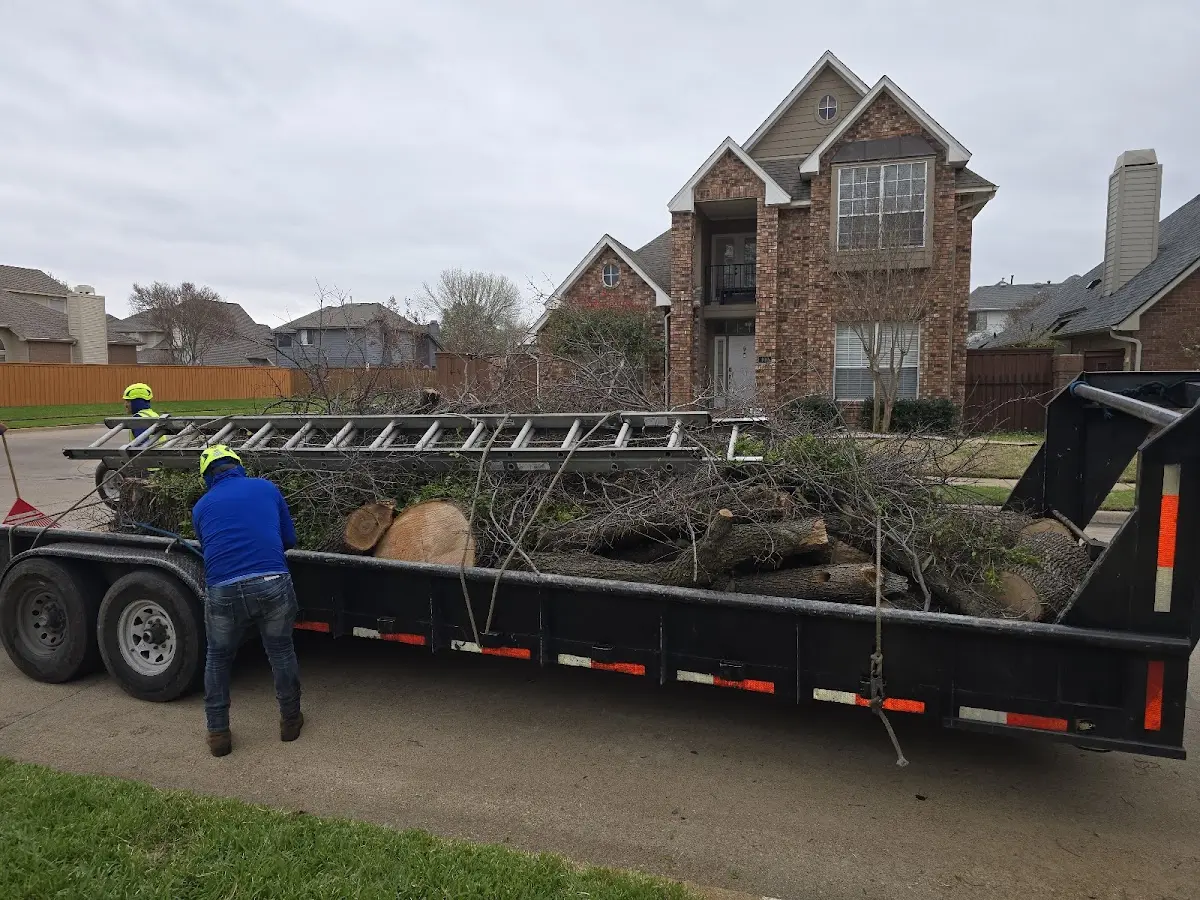 Expert Tree Removal with proper safety equipment in Northampton
